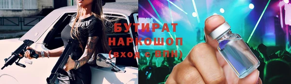 гидра Инсар