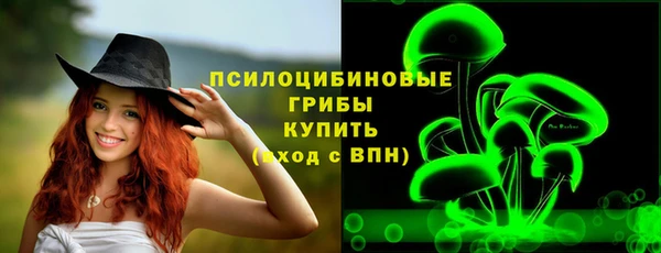 прущая мука Инта
