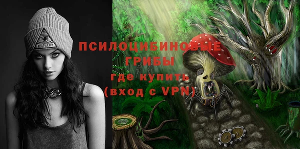 гидра Инсар