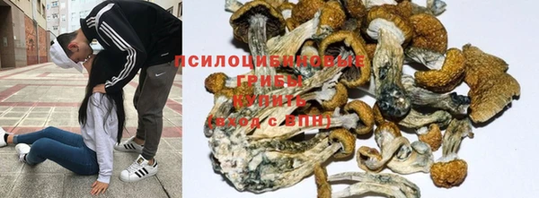 spice Зерноград