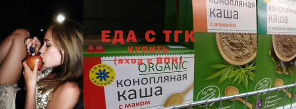 гидра Инсар