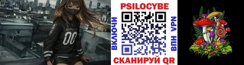 Псилоцибиновые грибы ЛСД  блэк спрут ссылка  Новый Уренгой 