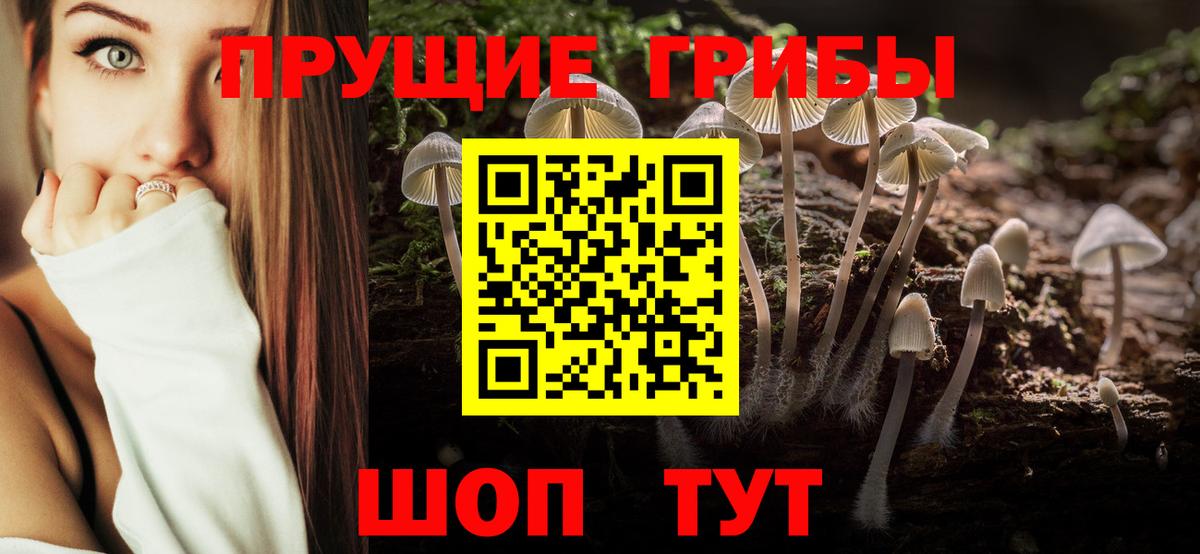 Галлюциногенные грибы ЛСД  Вход с VPN  Галлюциногенные грибы прущие грибы  Новый Уренгой 